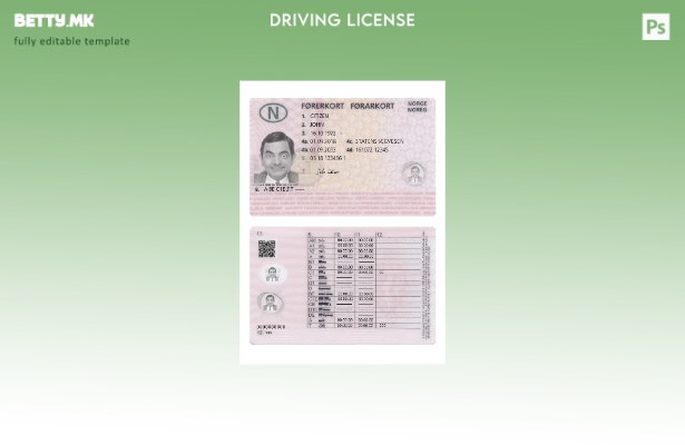 Модерен стил Норвешка возачка дозвола присутен шаблон